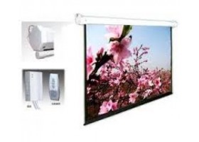 Màn chiếu điện Dalite 200 inch