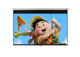 MÀN CHIẾU TREO TƯỜNG 120 INCH (2m13 x 2m13)