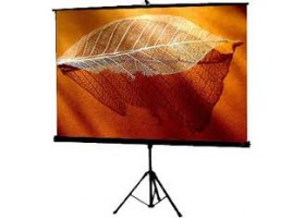 MÀN CHIẾU 3 CHÂN 120 INCH